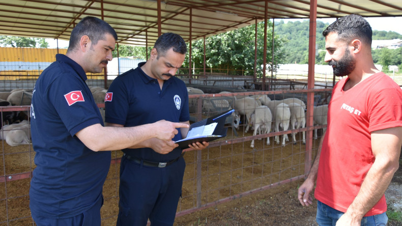 Kurban Satış ve Kesim Alanlarını Denetliyorlar
