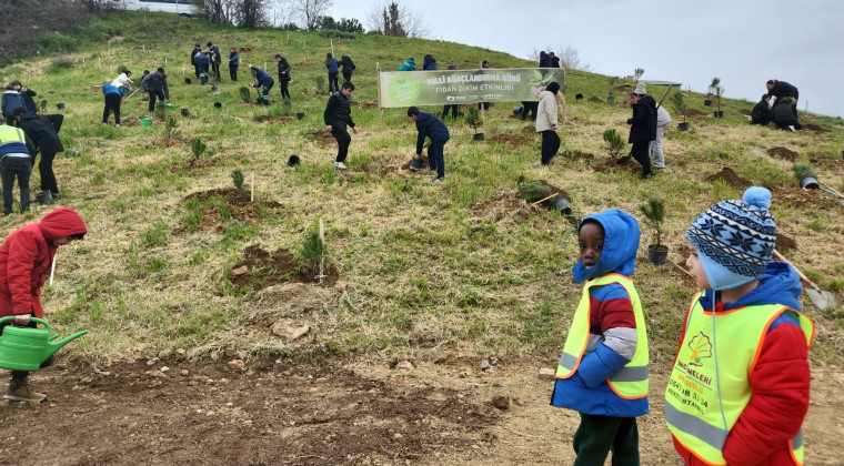 Öğrenciler 350 Fıstık Çamını Toprakla Buluşturdu