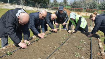 Pendik Kent Konseyinden Millet Bahçesi’nde Fide Dikim Etkinliği