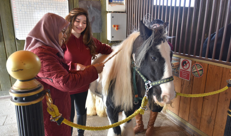 Pendik’te 65 Yaş Üstü Bireyler Atlı Terapiyle Hayata Bağlanıyor