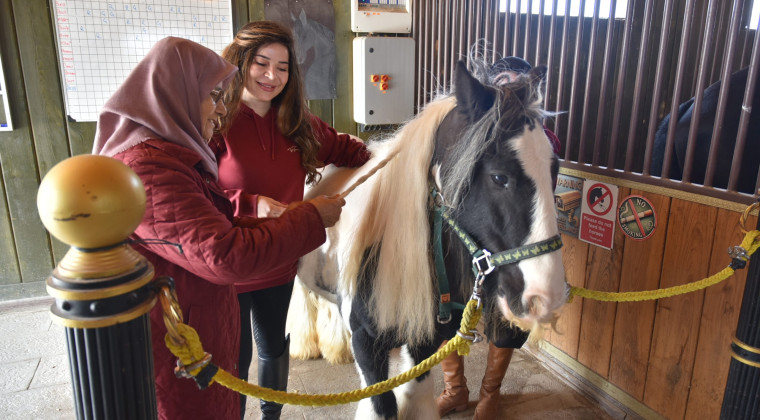 Pendik’te 65 Yaş Üstü Bireyler Atlı Terapiyle Hayata Bağlanıyor