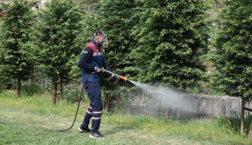 Sivrisineklere Karşı İlaçlama Başladı