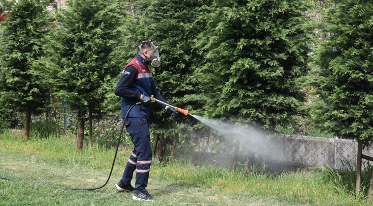 Sivrisineklere Karşı İlaçlama Başladı