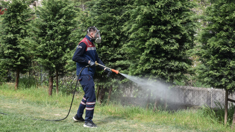 Sivrisineklere Karşı İlaçlama Başladı