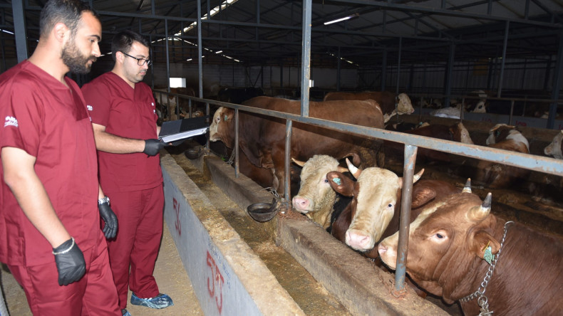 Kurban Satış ve Kesim Alanlarını Denetliyorlar
