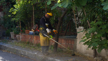 Tuzla Belediyesi’nden yaz döneminde kapsamlı ot biçme çalışması