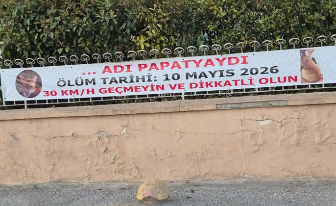Kaybettikleri Dostları İçin Pankart Astılar, Pendik’in Tüm Sürücülerine Seslendiler