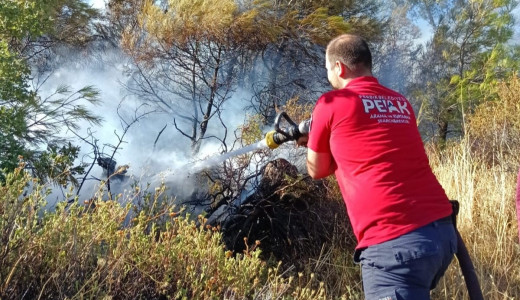 Pendik Belediyesi Ekipleri Balıkesir’deki Orman Yangınına Müdahale Ediyor