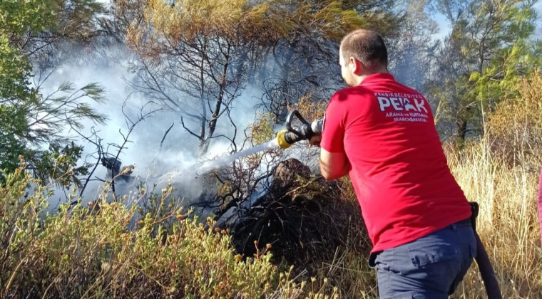 Pendik Belediyesi Ekipleri Balıkesir’deki Orman Yangınına Müdahale Ediyor