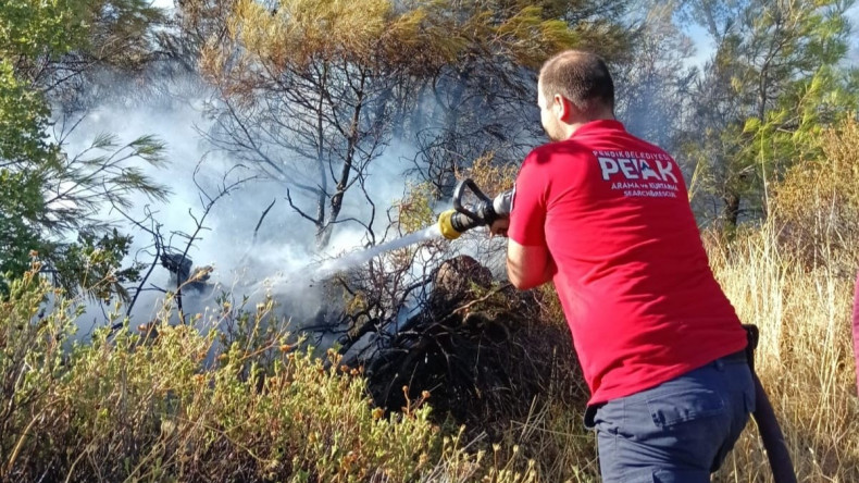 Pendik Belediyesi Ekipleri Balıkesir’deki Orman Yangınına Müdahale Ediyor